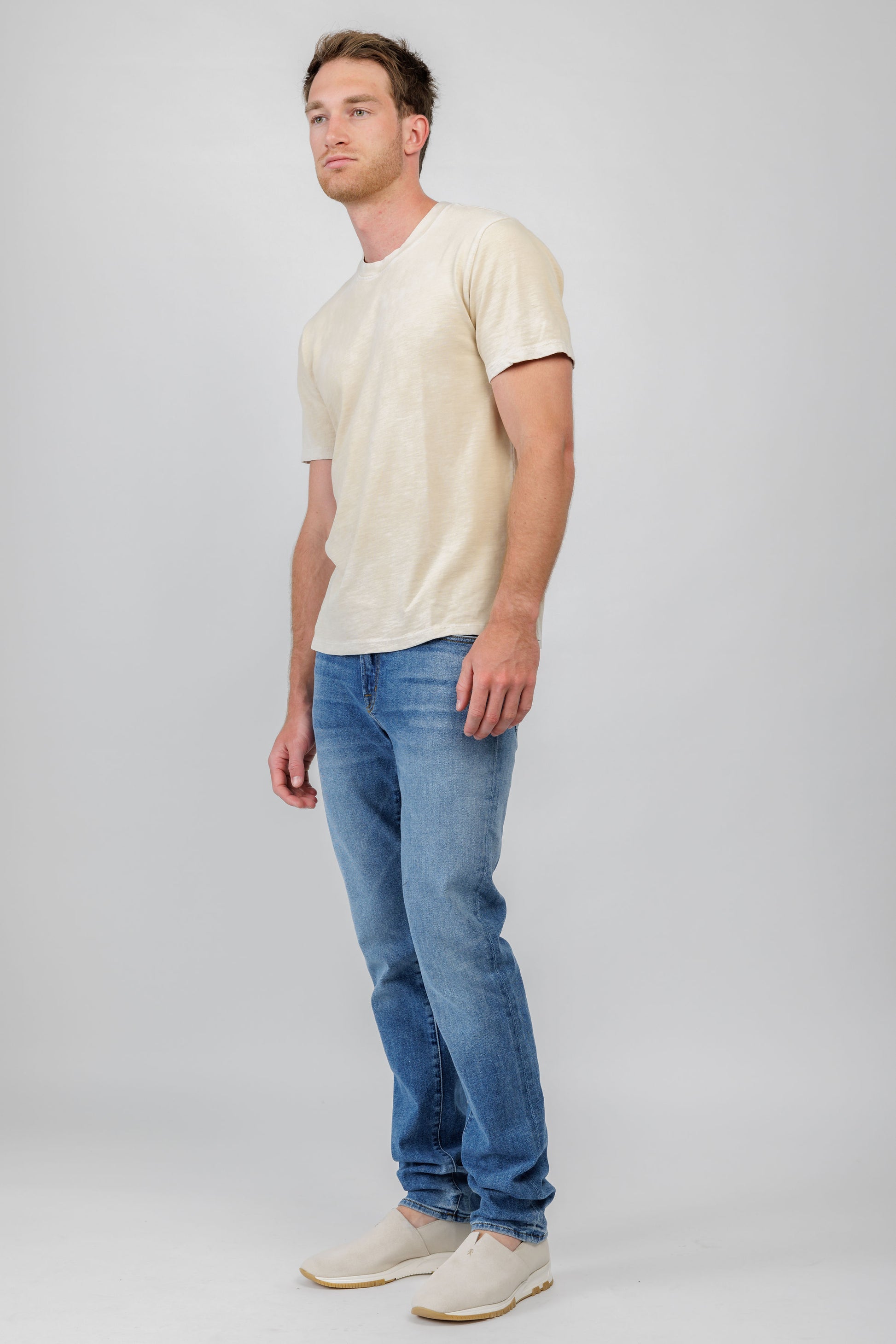 COTTON CITIZEN Presley T-Shirt in Vintage Oatmeal