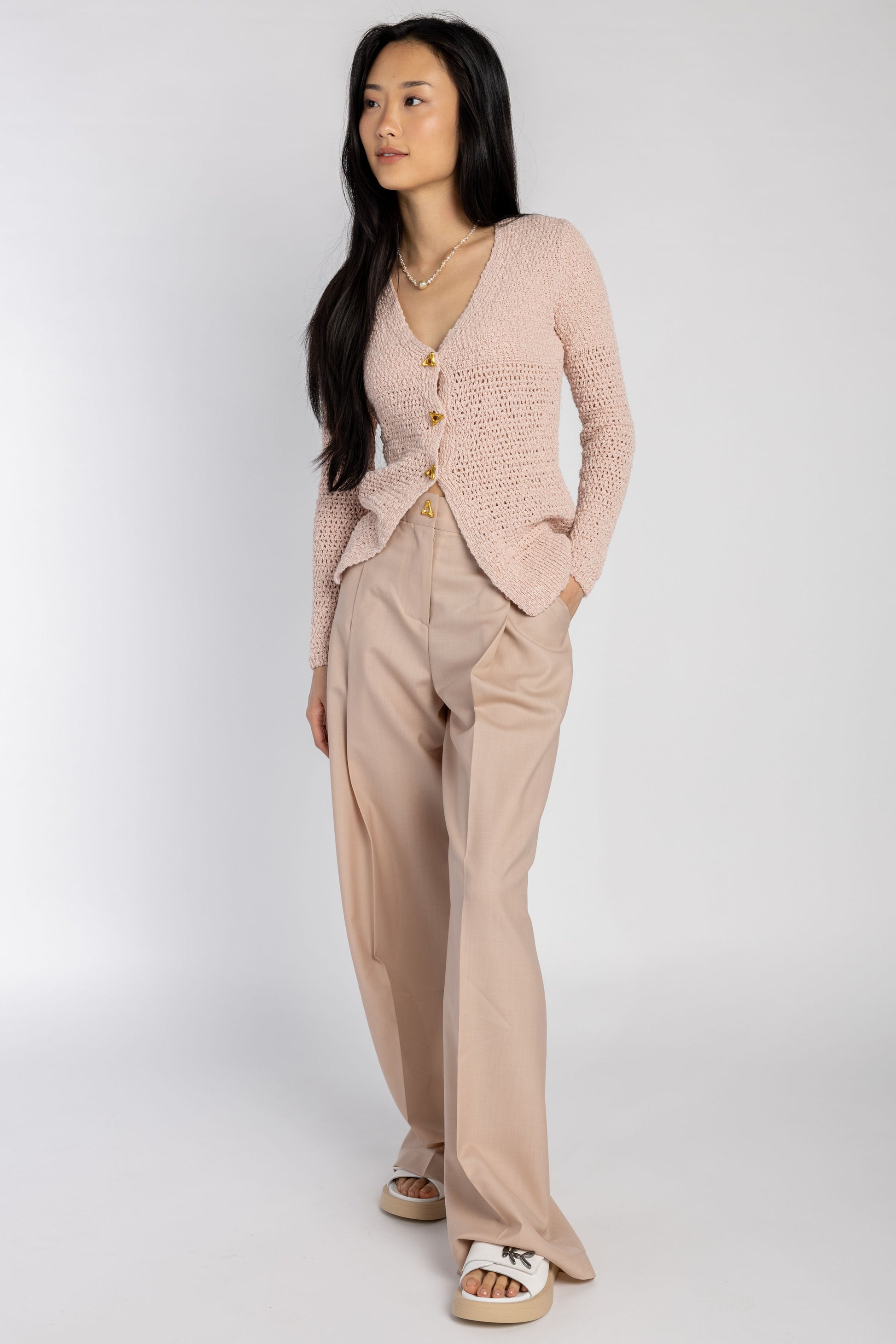 AERON Wellen Wide Leg Trouser Pant in Pale Rose
