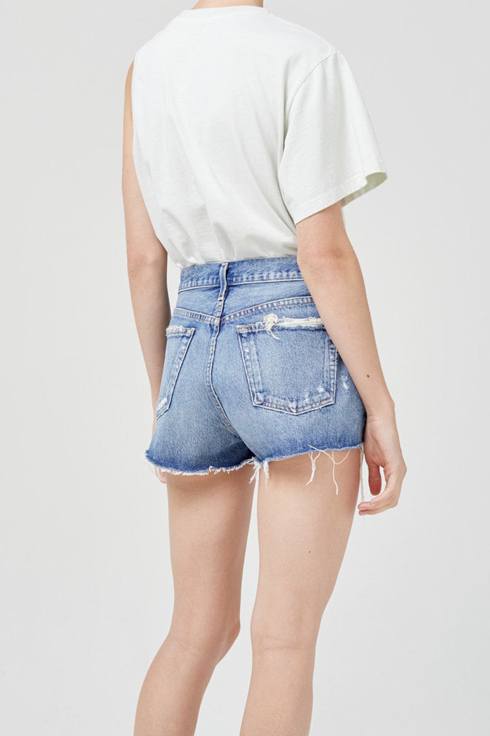 AGOLDE Parker Short in Clutch