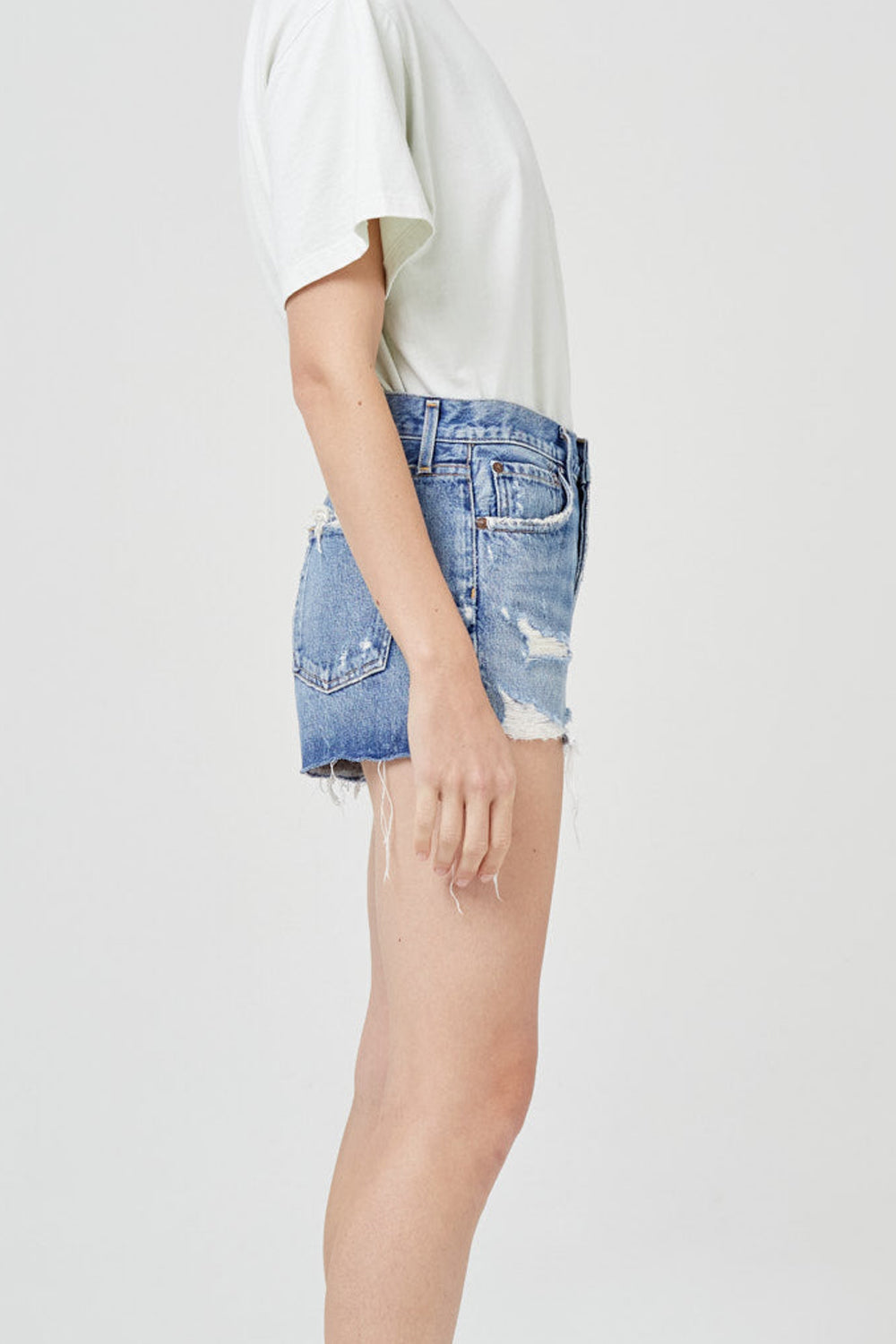 AGOLDE Parker Short in Clutch