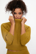 FABIANA FILIPPI Platinum and Mohair High Neck Sweater in Curry