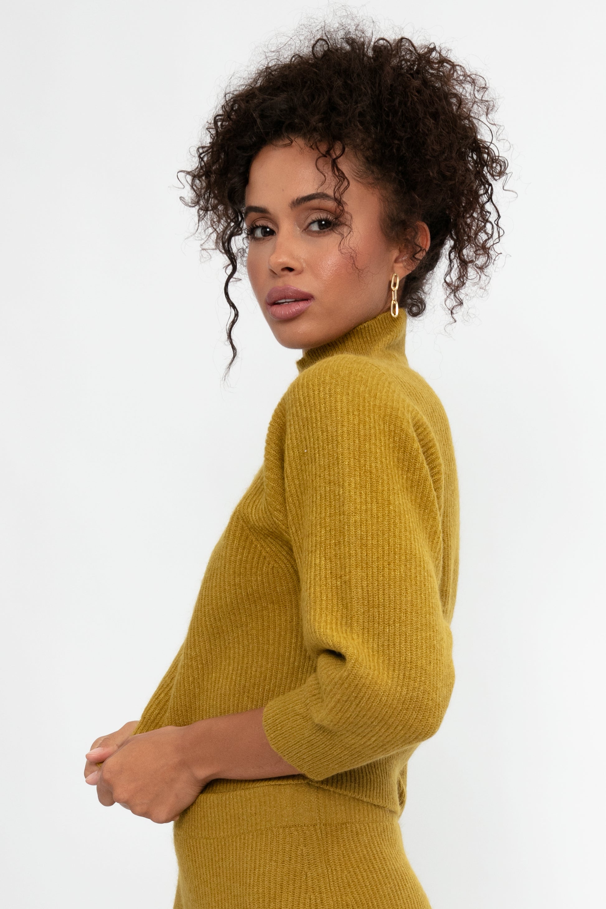 FABIANA FILIPPI Platinum and Mohair High Neck Sweater in Curry