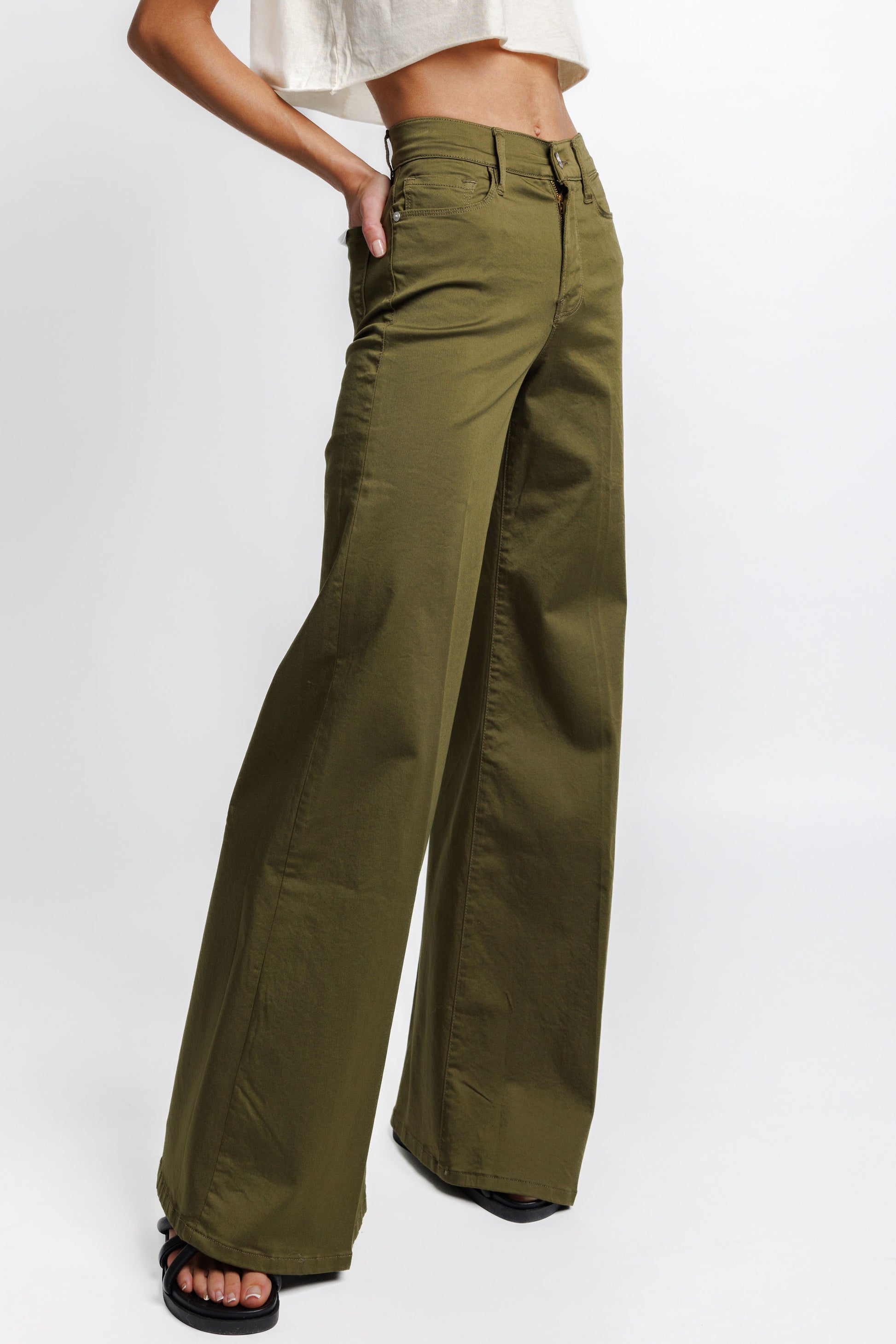 FRAME Le Palazzo Pant in Sateen Surplus