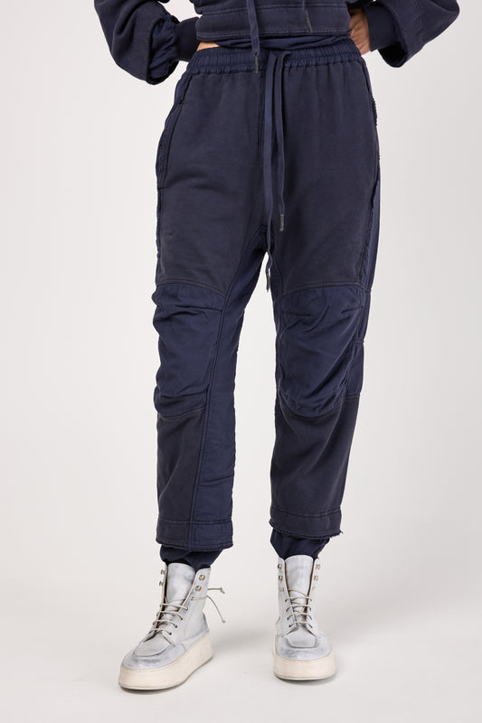 Cotton Jogging Pant in Purple Blue