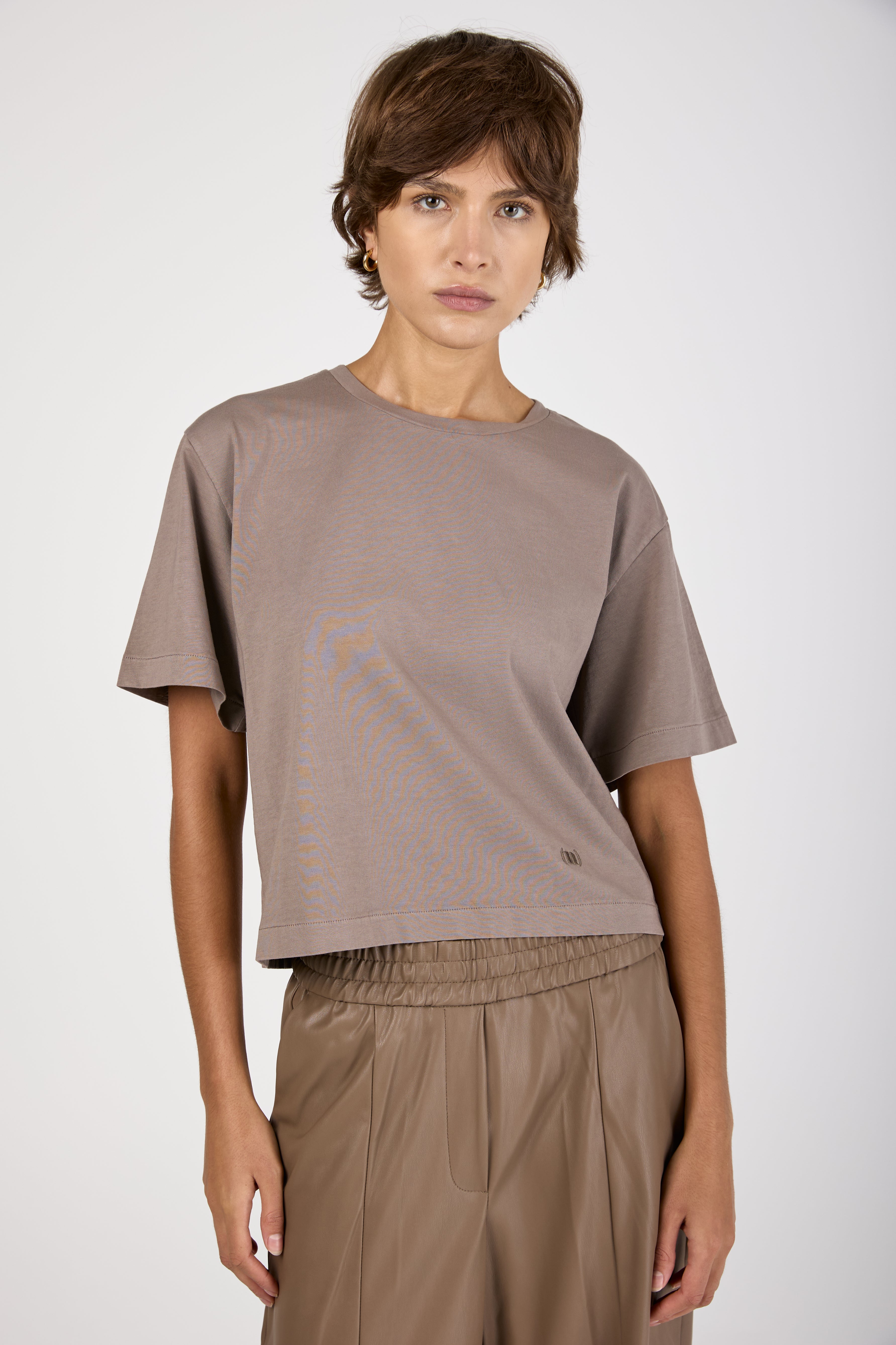 Cotton Crewneck Jersey T-Shirt in Mink